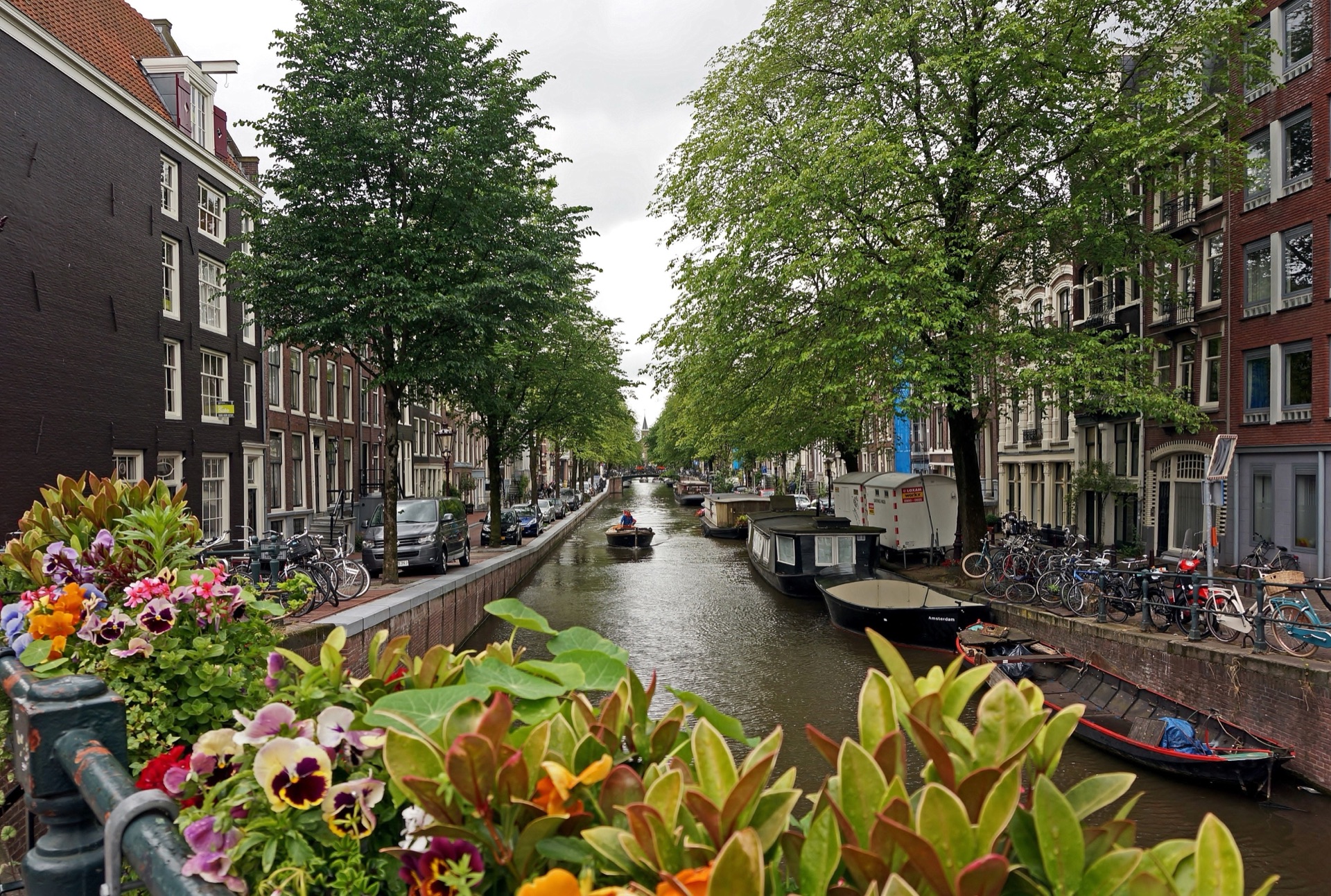 Canal lined with tulips